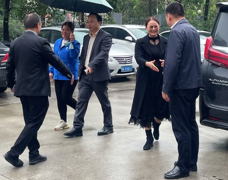 Kustomisasi kosmetik