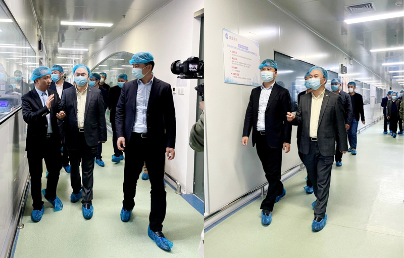 Kustomisasi kosmetik