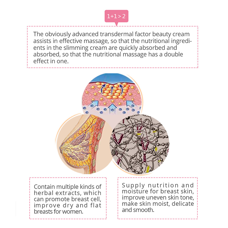 krim pembesar payudara grosir private label (5) 