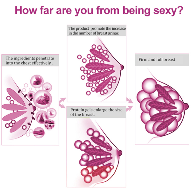 krim pembesar payudara grosir private label (6) 