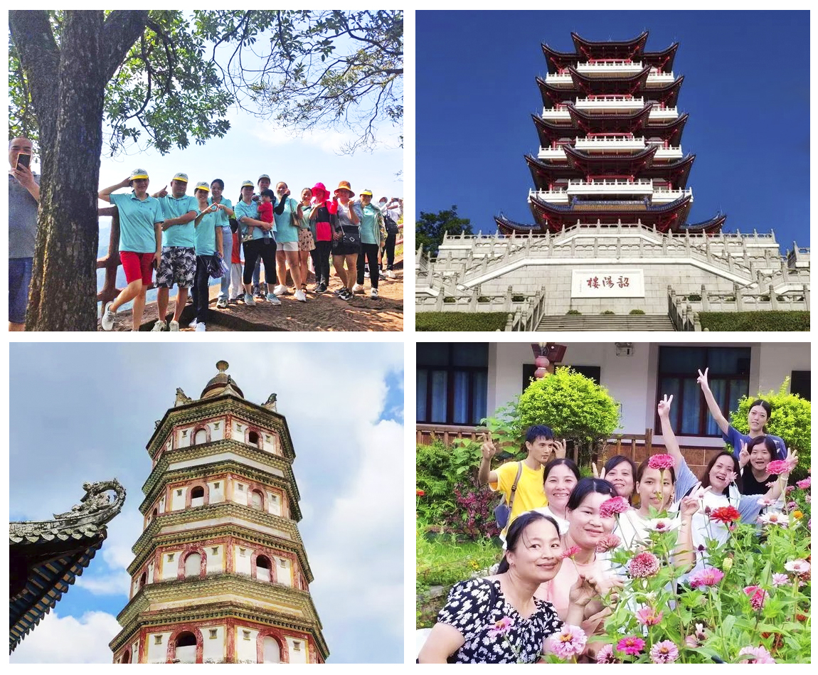 membangun tim kosmetik rhine